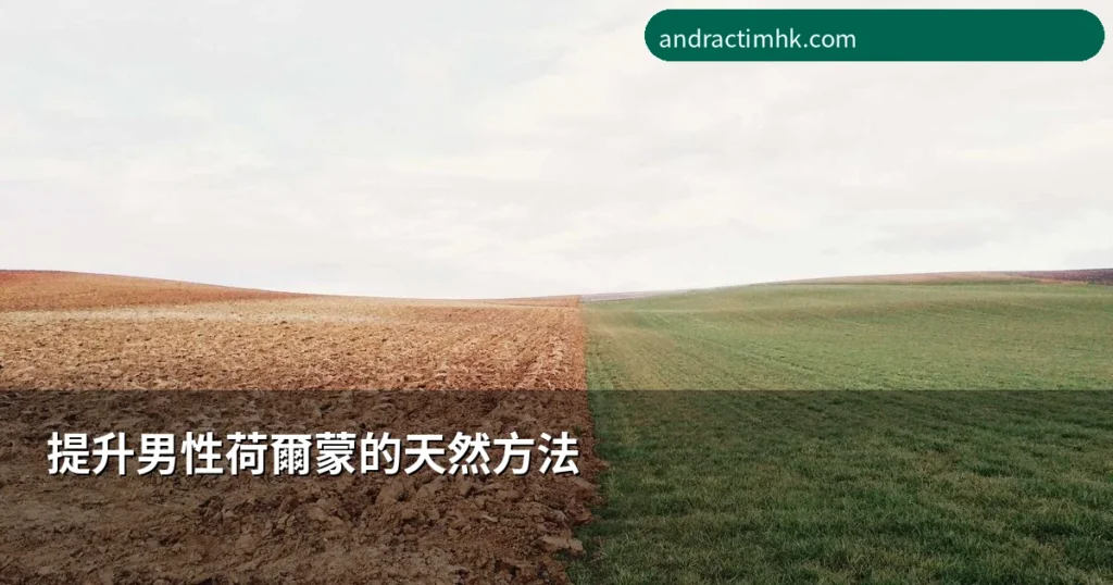 Andractim DHT凝膠 - 提升男性荷爾蒙的天然方法 | 飲食運動+DHT凝膠輔助指南